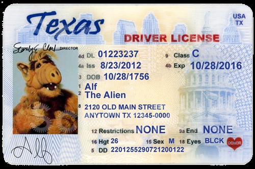fake texas driver license template